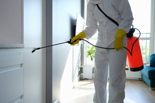 Best HVAC Mold Remediation in East Lake Orient Park, FL